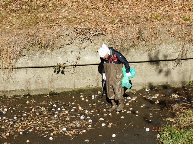 IMG_1909　投入されたダンゴをヘドロへ踏込み